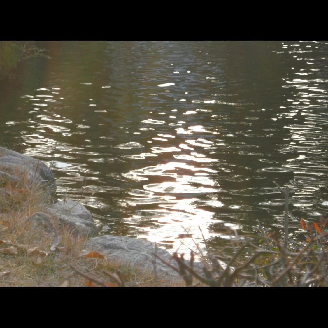 히타치 HDC-1241 + 박스  메탈릭 실버 빈티지 디카 디지털카메라 상품이미지4