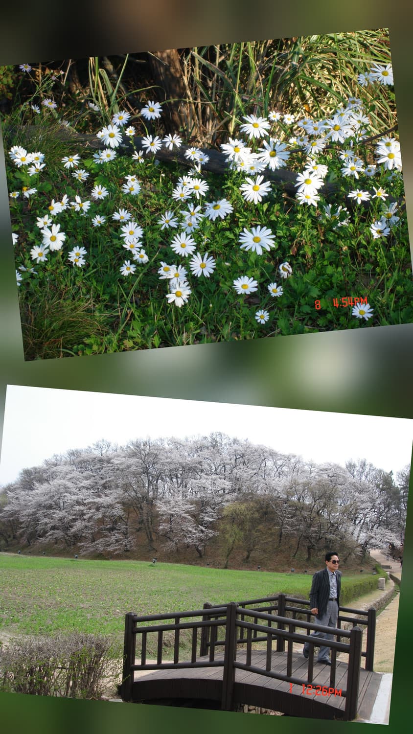 소니 사이버샷 DSC-N1 디지털카메라 상품이미지9