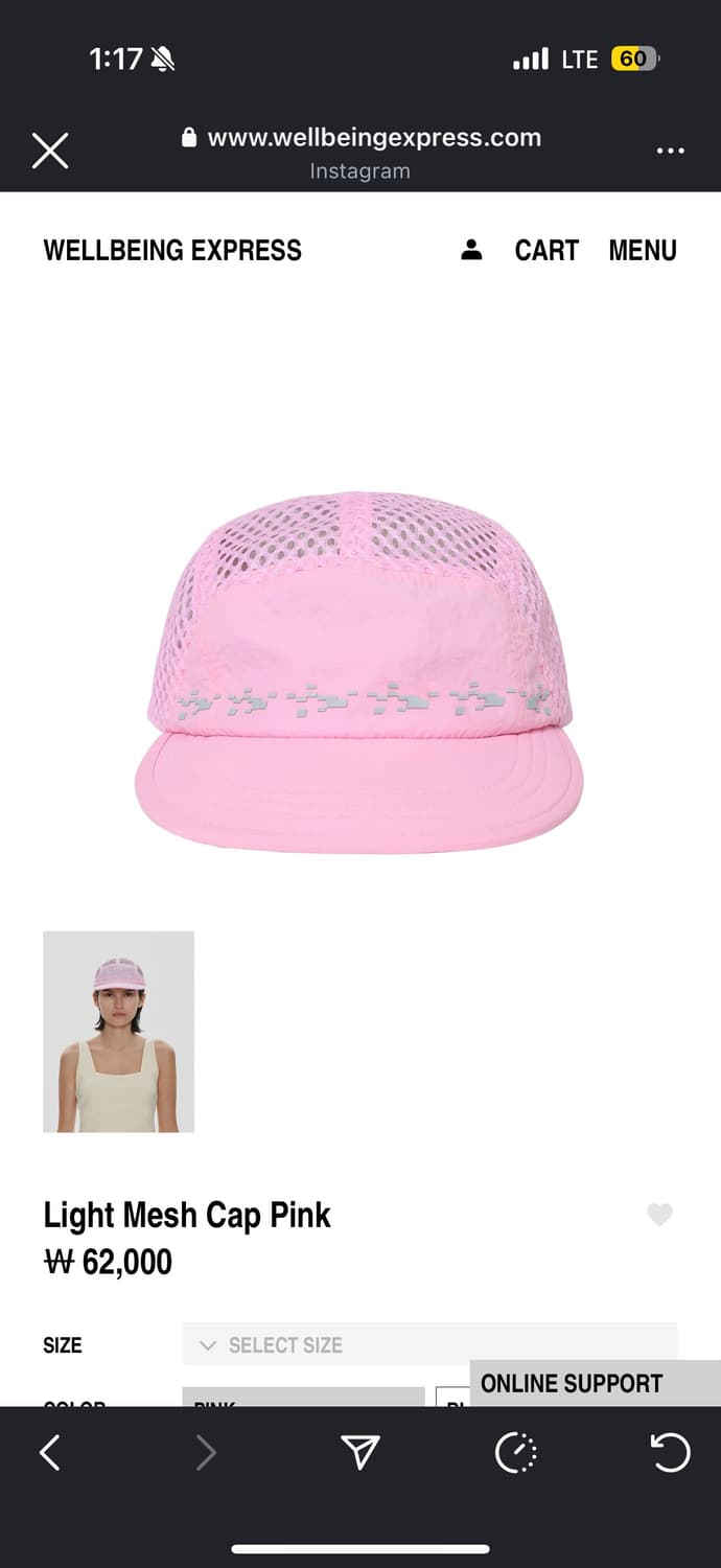 웰빙익스프레스 Light Mesh Cap Pink 상품이미지1