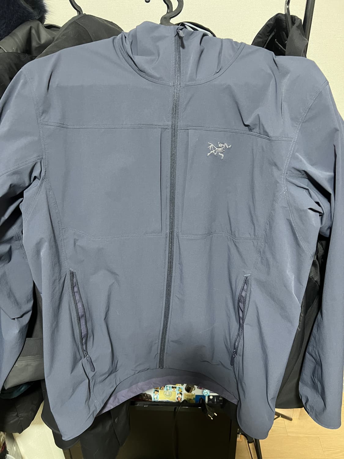 아크테릭스 감마라이트웨이트 후디 상품이미지1