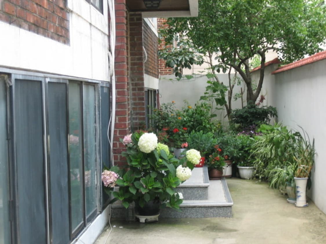 Canon ixy + 애플(c타입) sd카드 리더기 상품이미지6