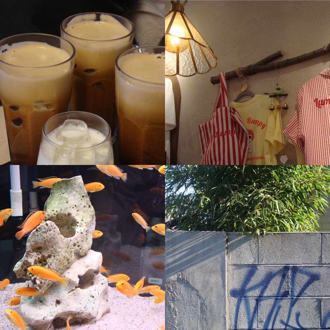 소니 사이버샷 w200 (작례O) 상품이미지5