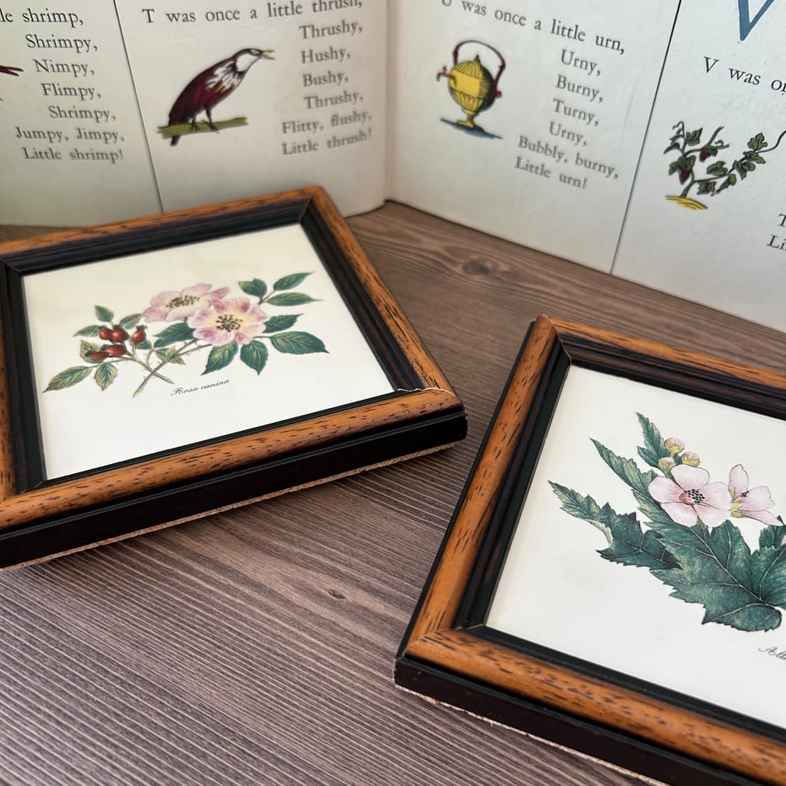 빈티지 보태니컬 꽃 액자 세트  상품이미지4