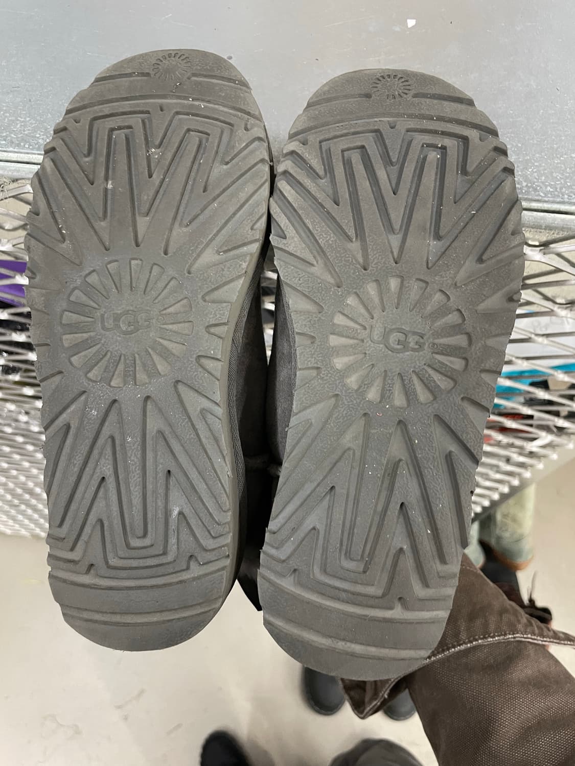 어그 미니 베일리 보우 II 230 상품이미지6