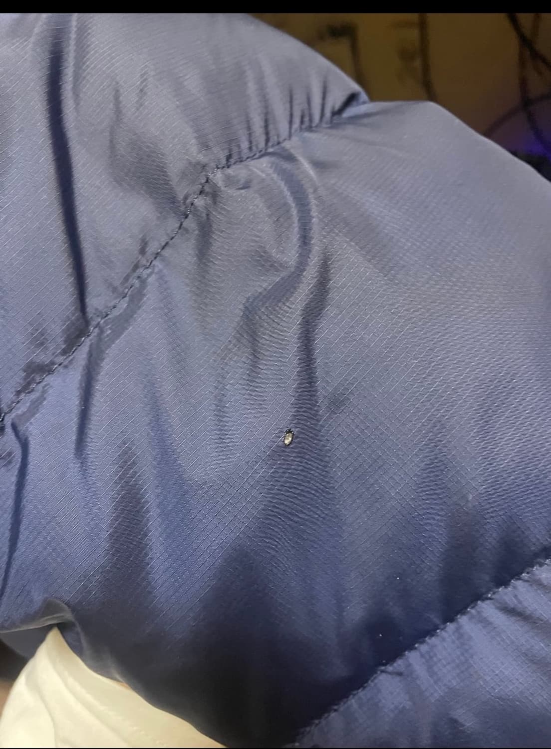 700필 눕시 네이비 팝니다. 상품이미지2