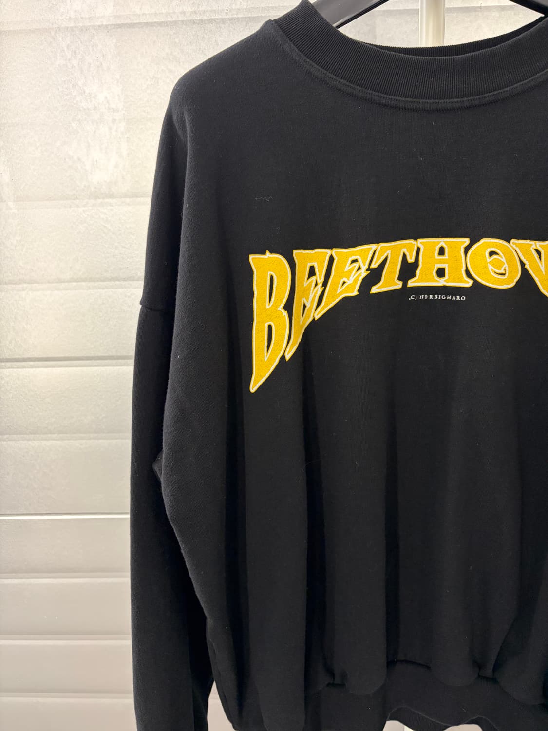 HERBIGHARO 박효신 베토벤 허비그하로 맨투맨 상품이미지3