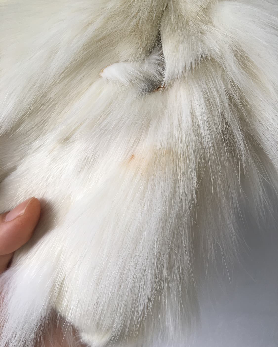 fur bolero 상품이미지5