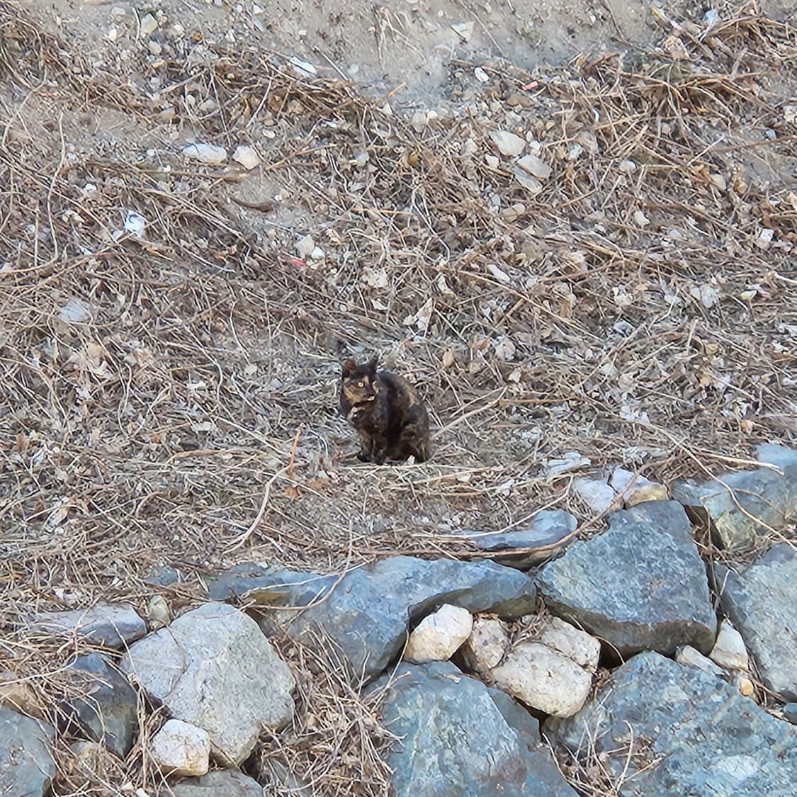 마지막 정리 타임세일 상품이미지1