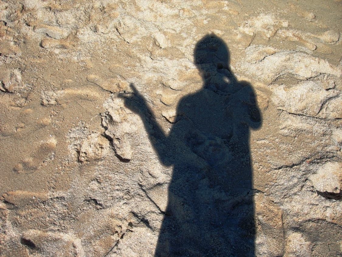 소니 사이버샷 Sony Cyber-shot DSC-N1 실버 상품이미지2