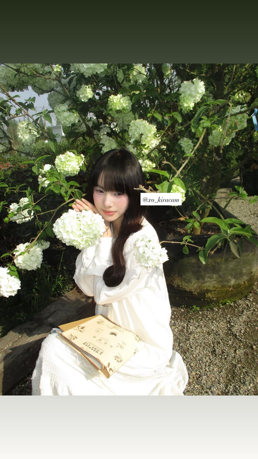 강추!🍅) CANON IXY 160 빈티지 디카 상품이미지3