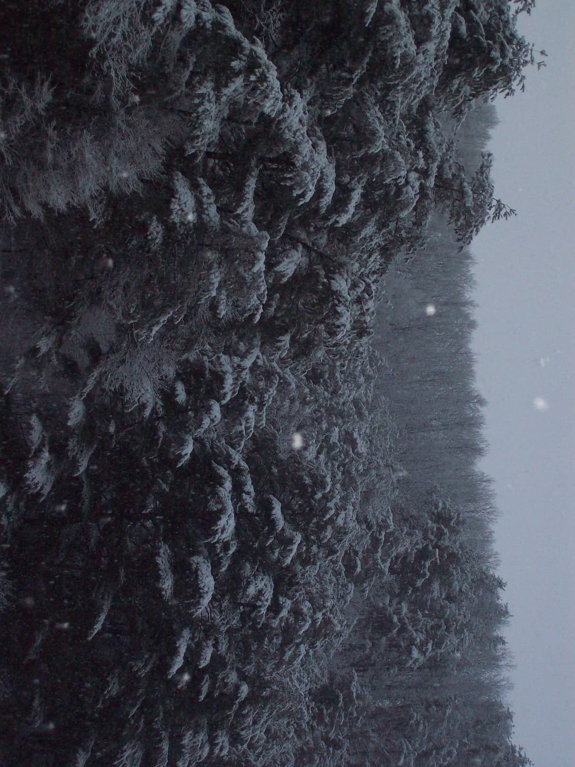 미품) 코닥 이지쉐어 c713 카리나 카메라 상품이미지8