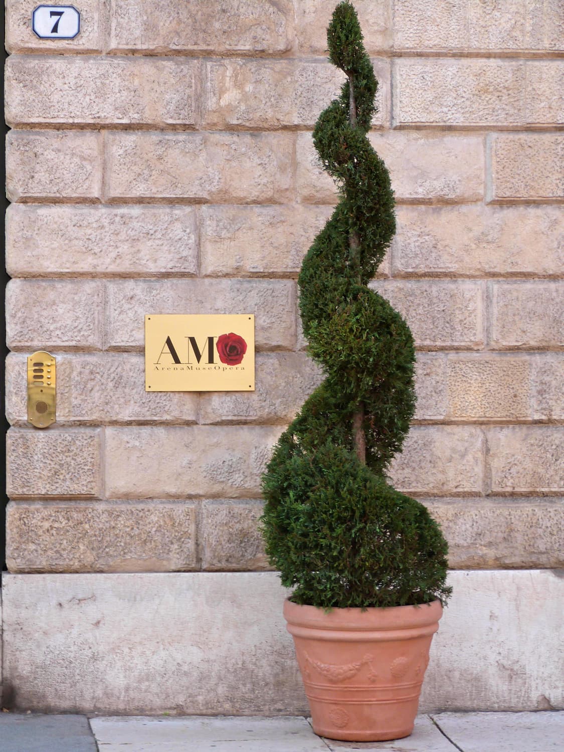 Ricoh Caplio R1 (리코 Caplio R1) 상품이미지8