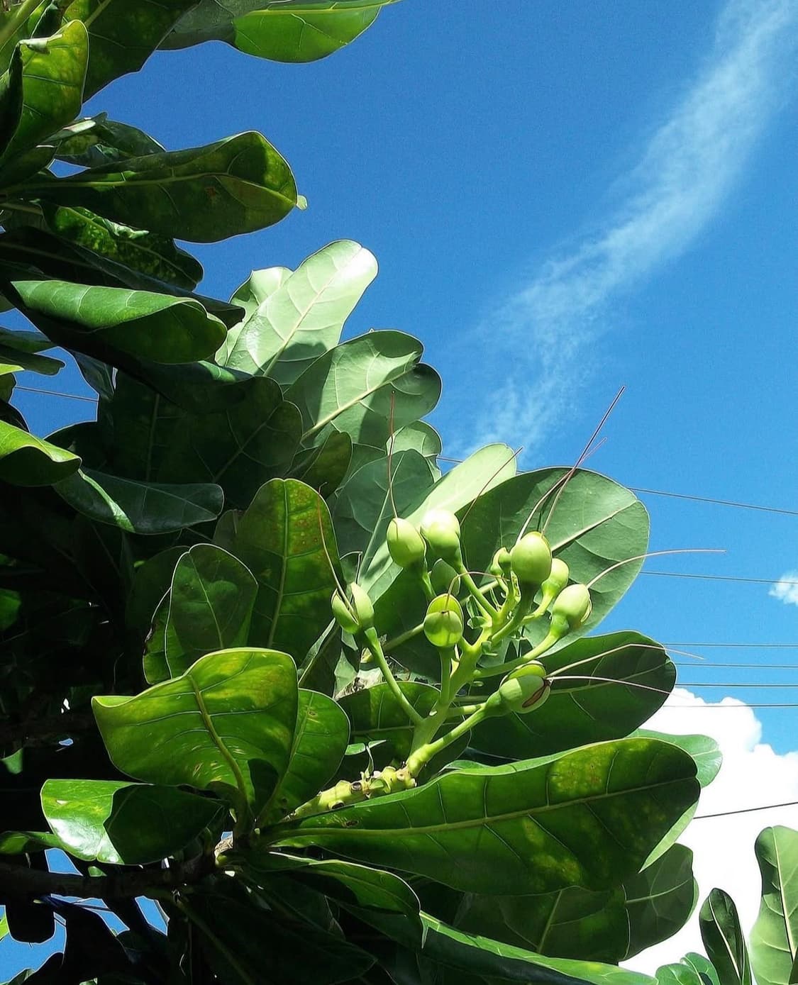 코닥 이지쉐어 스포트 c123 디지털카메라 상품이미지7