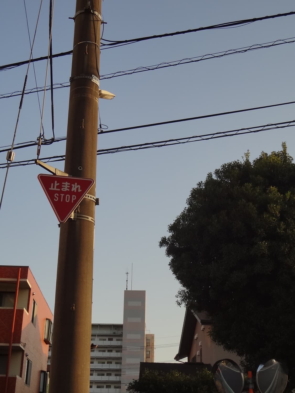 SONY Cyber-shot DSC-WX7 Pink 작례◯ 상품이미지2