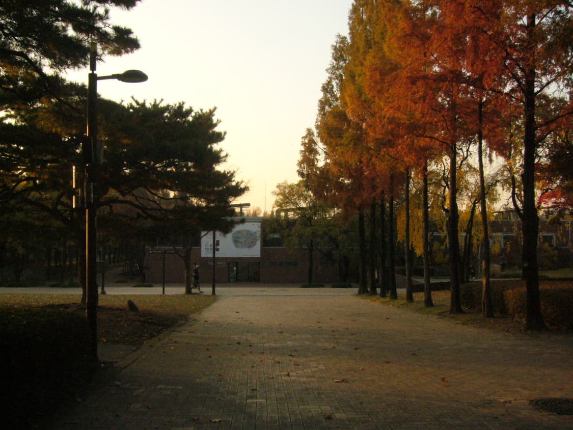 파나소닉 루믹스 fx9 디카 판매 상품이미지6