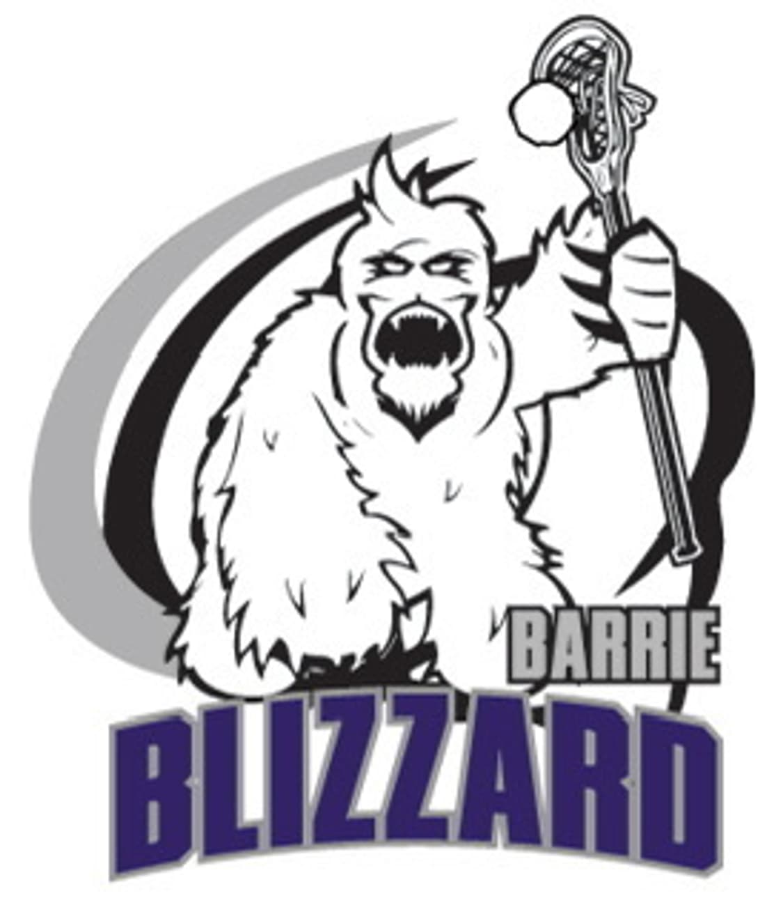 빈티지 배리 블리자드 BARRIE BLIZZARD 라크로스팀 티셔츠 XL 상품이미지6