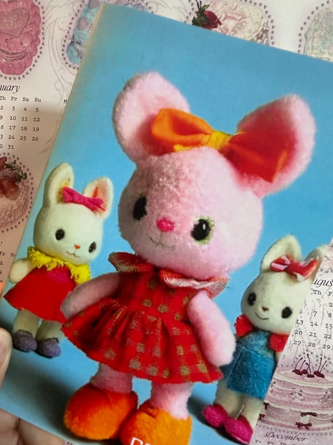 코이세이오 대구 사은품 증정품 노트 상품이미지2