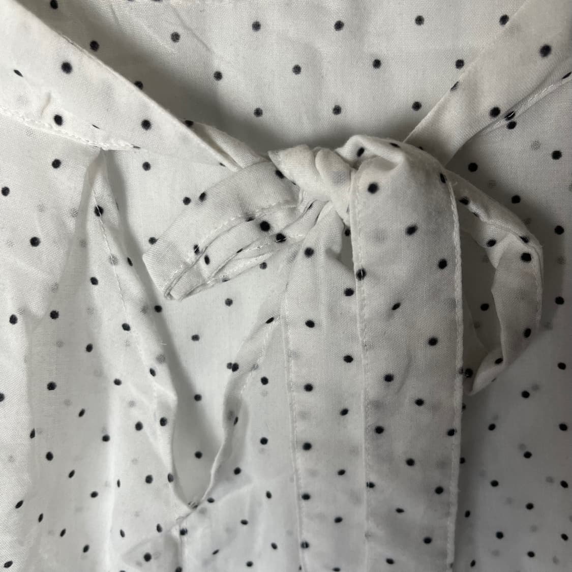 [Earth music] 어스앤뮤직에콜로지 도트 시스루 블라우스 상품이미지4