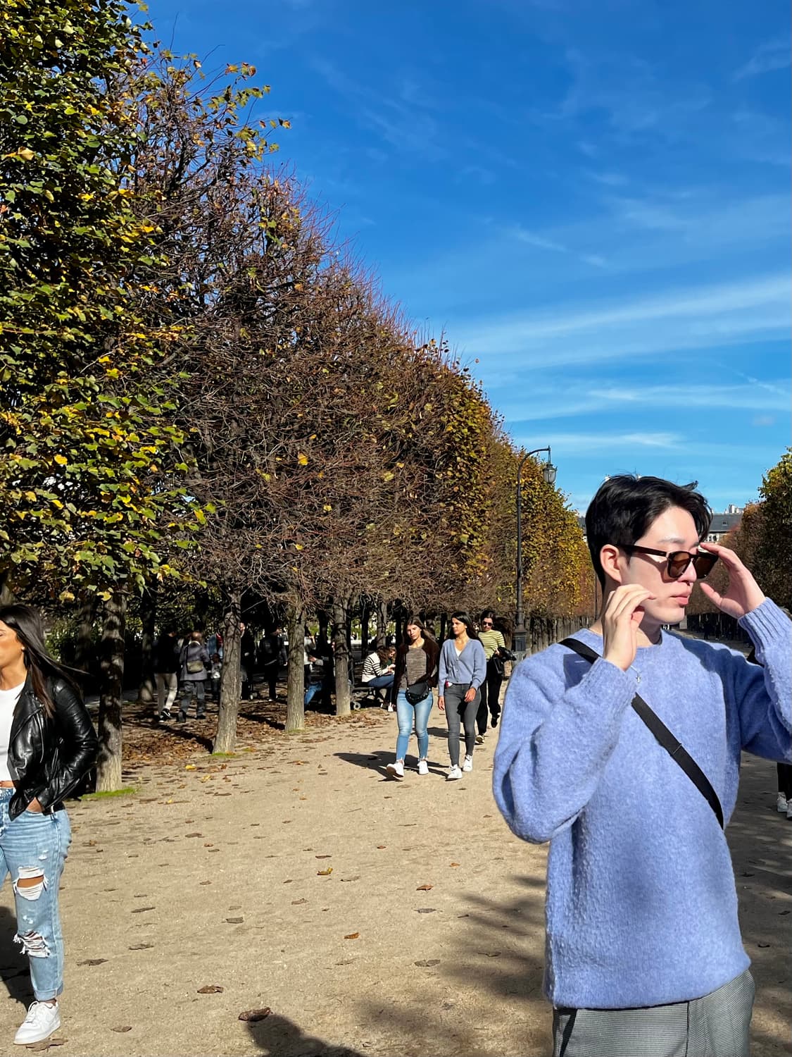 할리오브스코틀랜드 콘플라워 상품이미지3