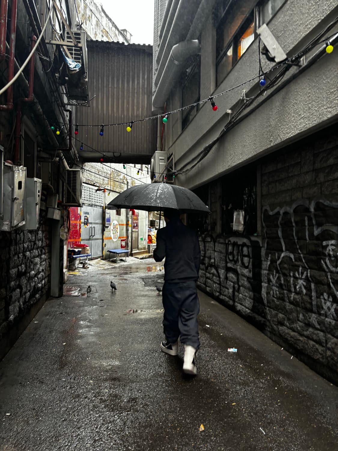 0030 사선 집업 자켓 3size 상품이미지2