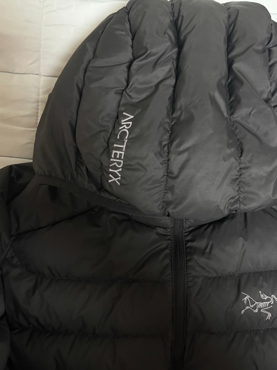 아크테릭스 세륨 L 블랙 상품이미지3