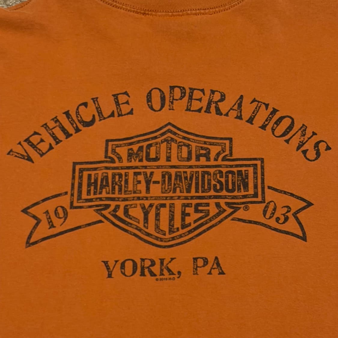 레어 10s 미국 빈티지 할리데이비슨 이글 롱슬리브 긴팔티 상품이미지10