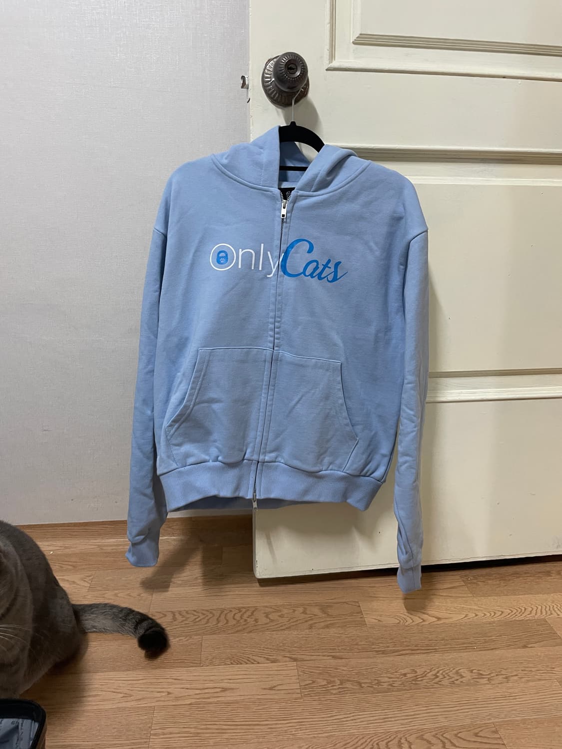 제스픽션 온리캣츠 후드집업 상품이미지2