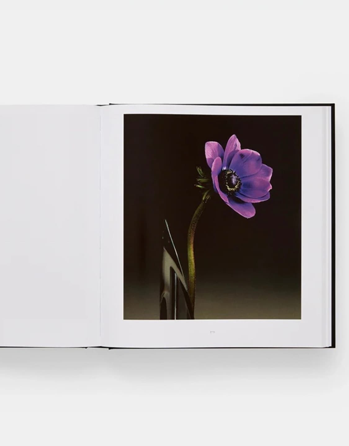미개봉 / MAPPLETHORPE 로버트 메이플소프 플로라 사진집 상품이미지4