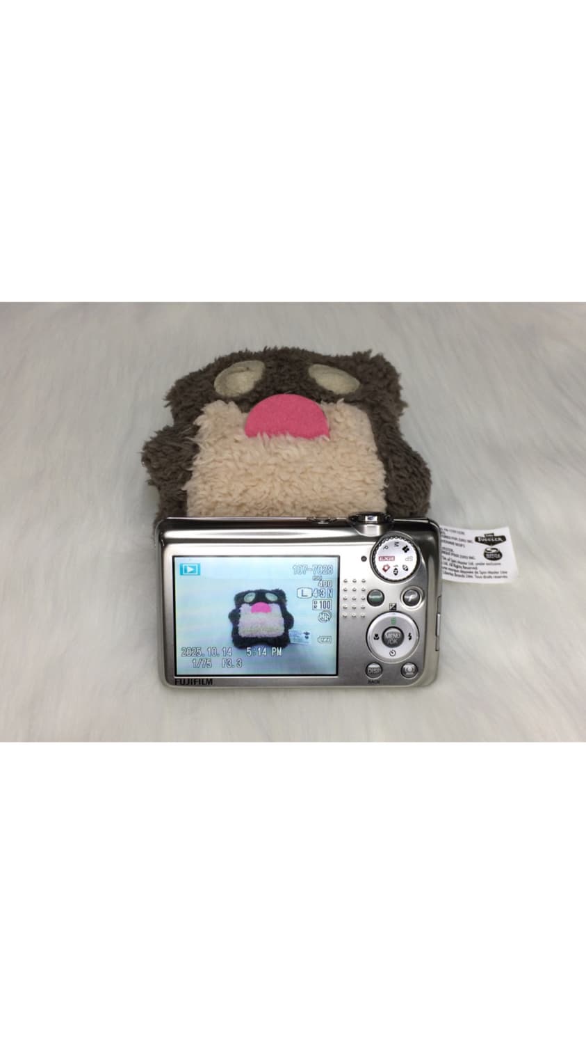 (작례) 후지 파인픽스 Fujifilm finepix f70exr 디카 상품이미지3