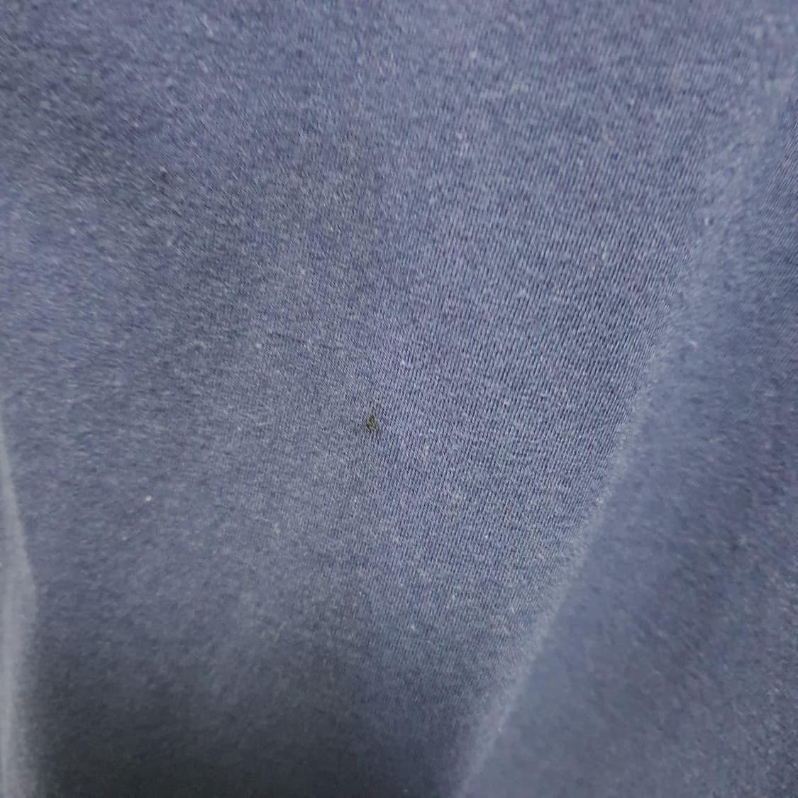 파타고니아 스카이라인 오가닉 반팔 티셔츠 XL 상품이미지5