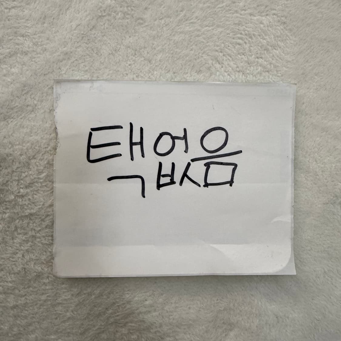 XL 디스커버리 기능성 맨투맨 0324T 상품이미지4