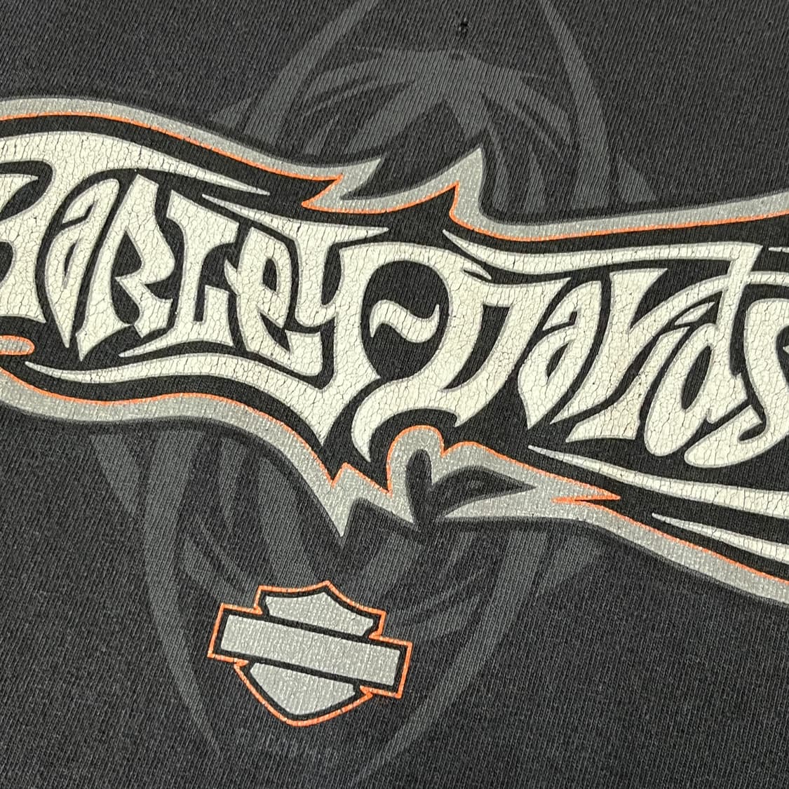 할리데이비슨 스파이더 웹 롱슬리브 상품이미지5