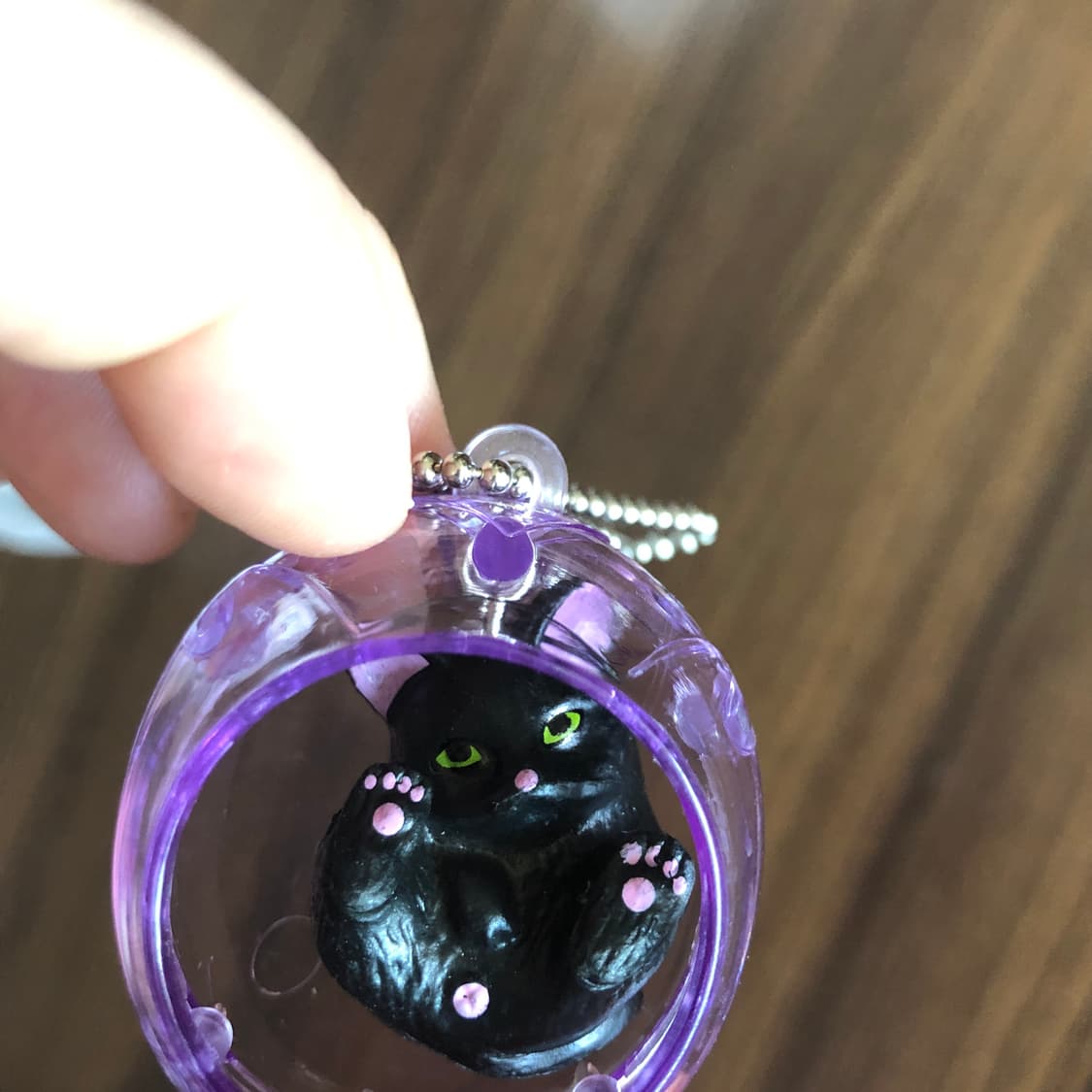 배송비 포함가격) 고양이 그네 가챠 네코 블랙캣 냥이 반려묘 키덜트 뽑기 상품이미지4