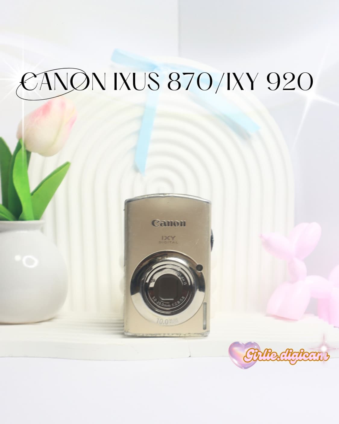 쓰테이시 세은 픽!) 캐논 익서스 870IS / 익시 920IS 상품이미지1
