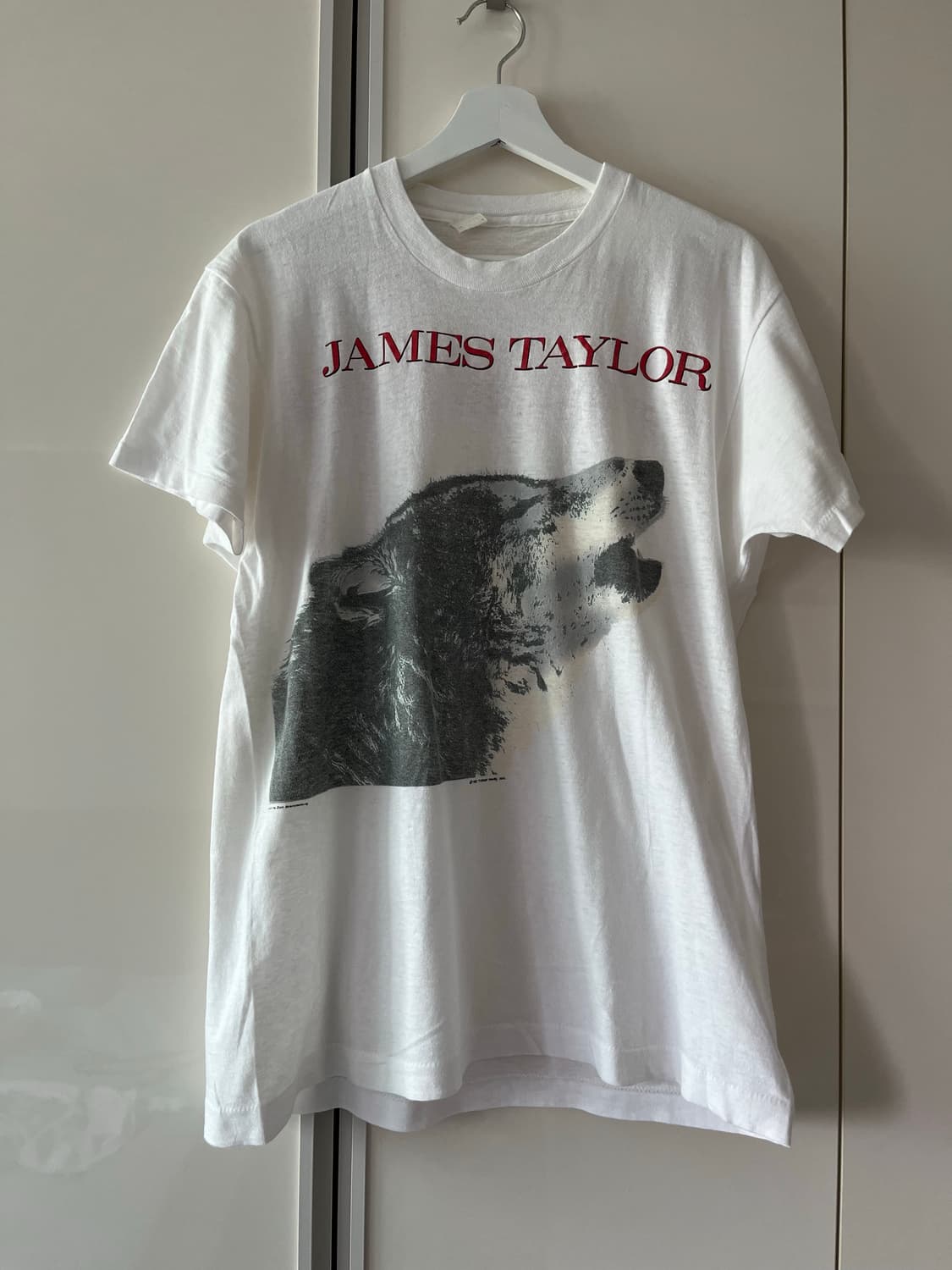James Taylor 빈티지 그래픽 반팔티 상품이미지1