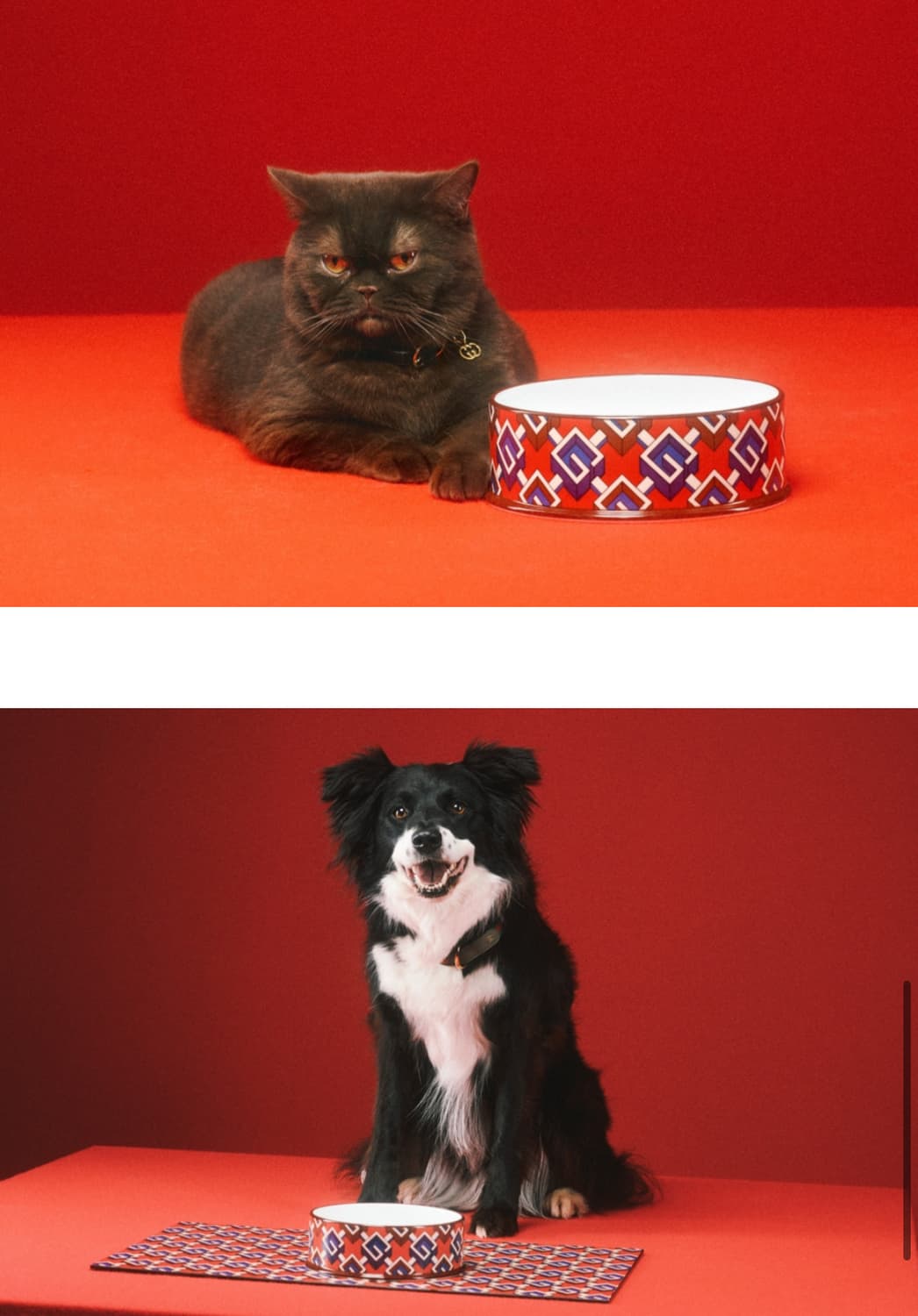 Gucci 구찌 라지 지오메트릭 G 프린트 펫 보울 (밥그릇) 상품이미지5