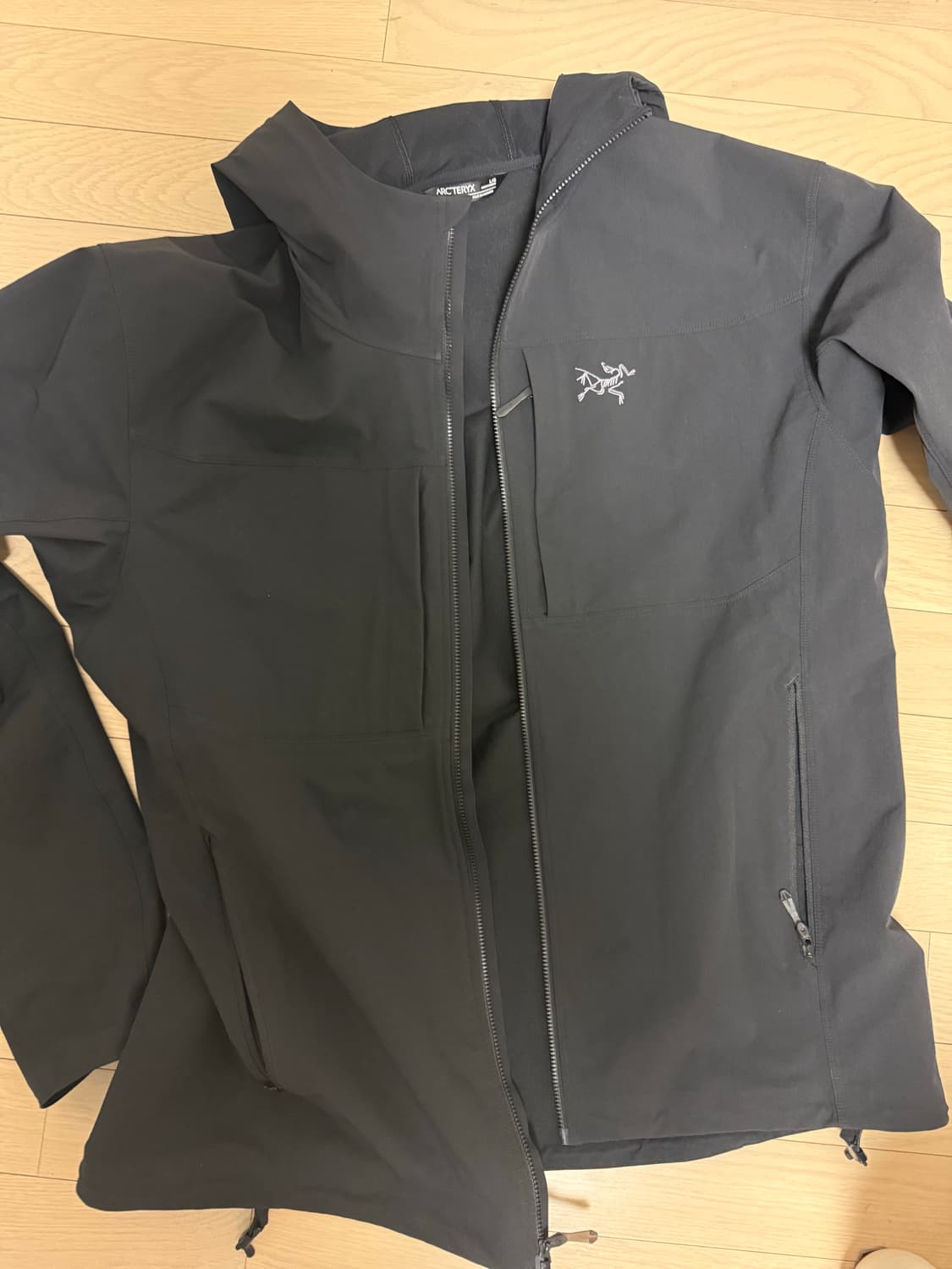 S급) 아크테릭스 감마 후디 블랙 L 상품이미지1