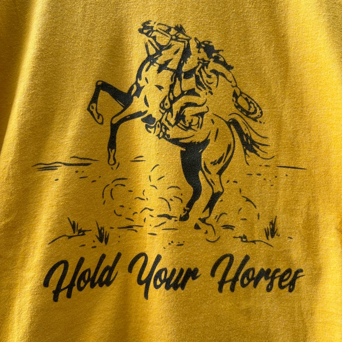 Hold Your Horses 웨스턴 그래픽 티셔츠 상품이미지6
