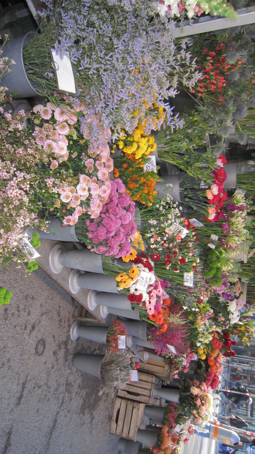 캐논 익서스 IXUS 210 실버 상품이미지7