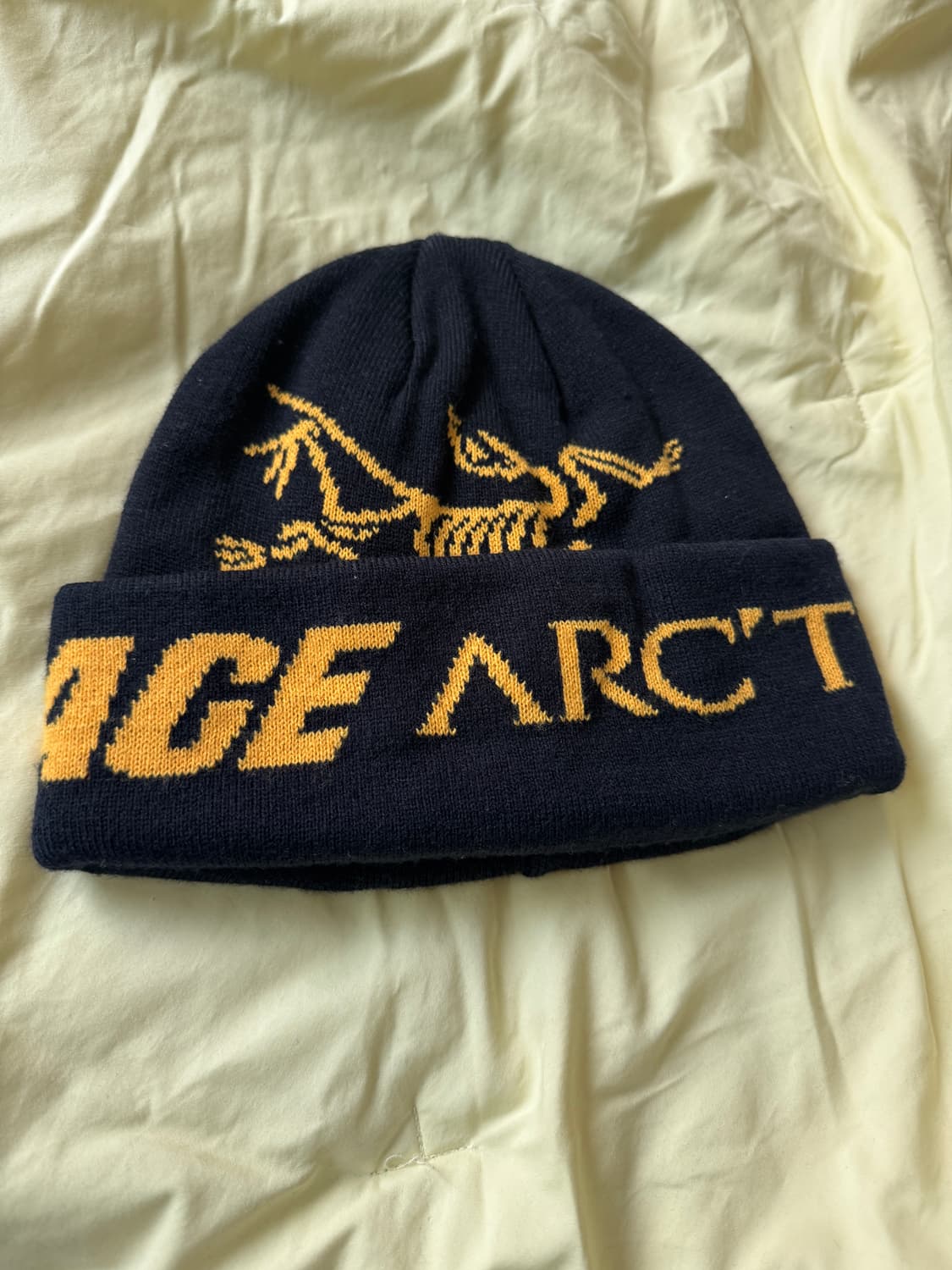 아크테릭스 팔라스 비니 상품이미지1