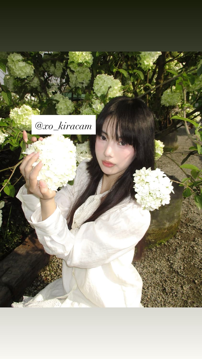 강추!🍅) CANON IXY 160 빈티지 디카 상품이미지2