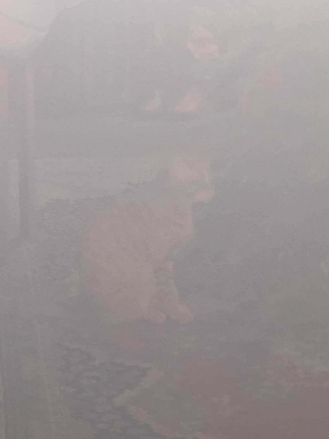 메종 마르지엘라 넘버링 반지 6호 상품이미지5