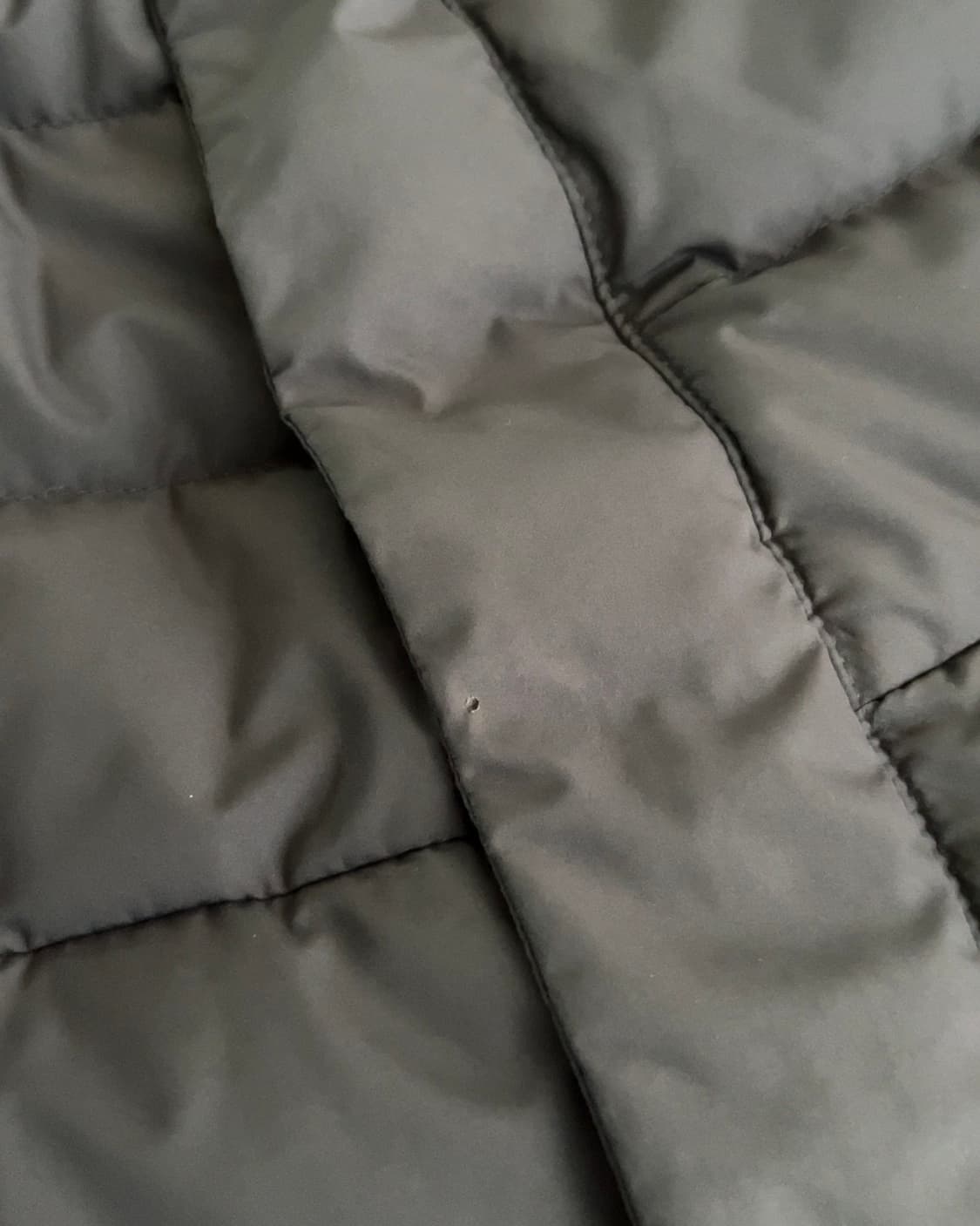 라코스테 니트 패딩 자켓 S 상품이미지5