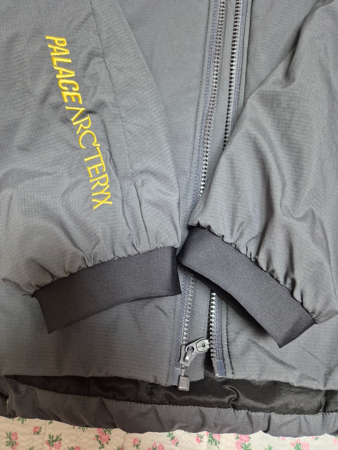 M) 아크테릭스 팔라스 아톰 Lt 자켓 상품이미지5