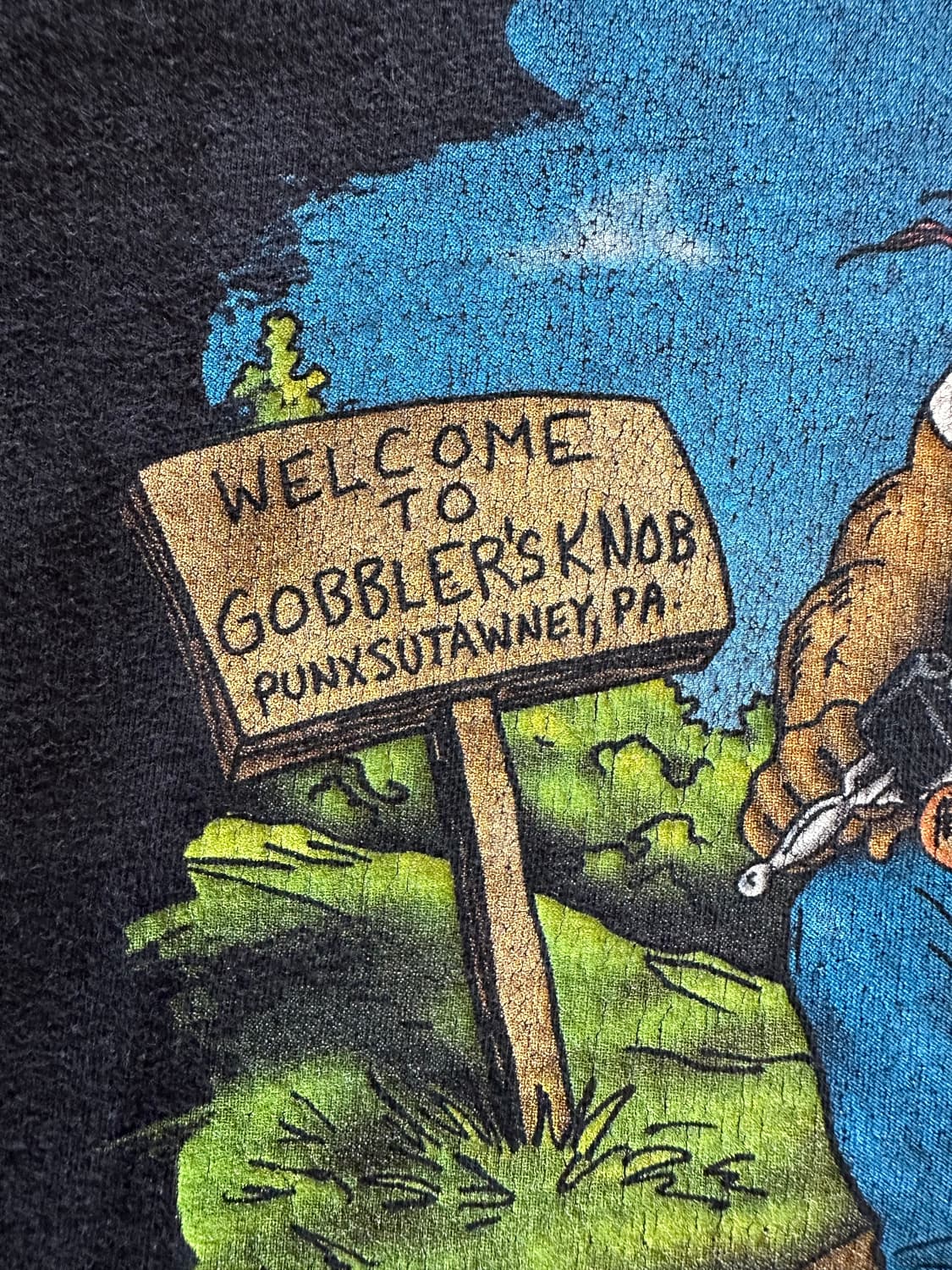 00s harley DuBois Punxsutawney Phil 상품이미지5