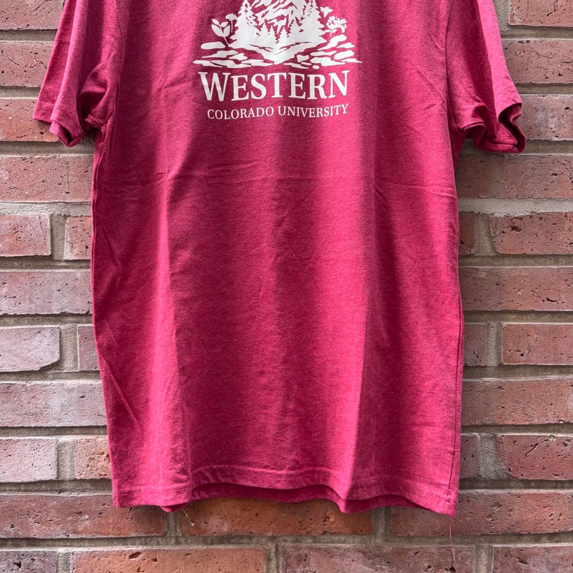 Western Colorado University 그래픽 티셔츠 상품이미지4