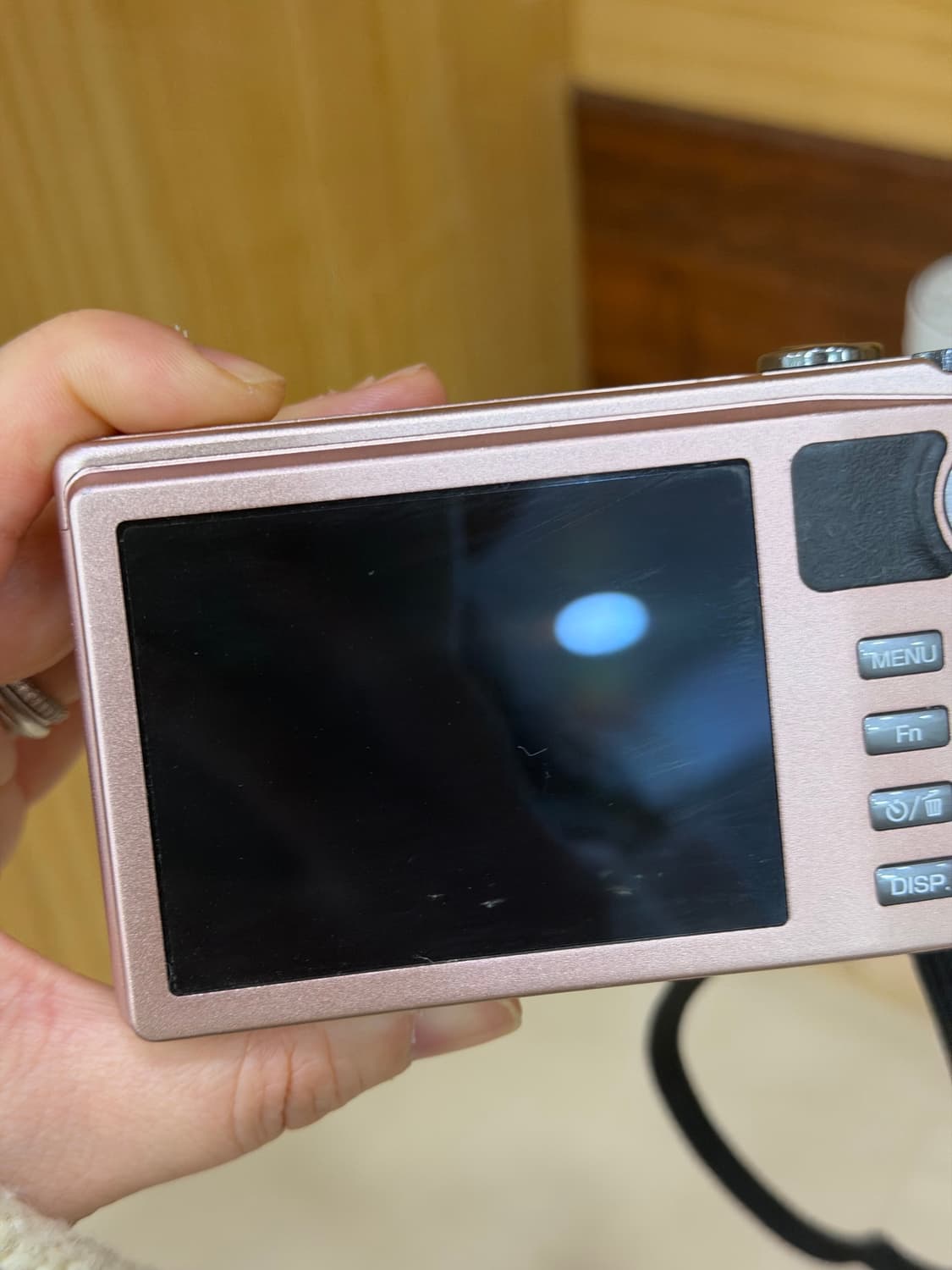 리코ricoh cx5 빈티지카메라 작례O 상품이미지3