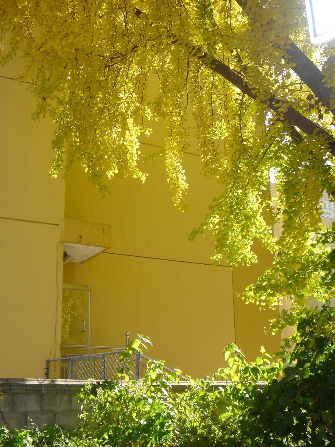 빈티지 소니 디카 dsc-t1 실버 카메라 상품이미지4