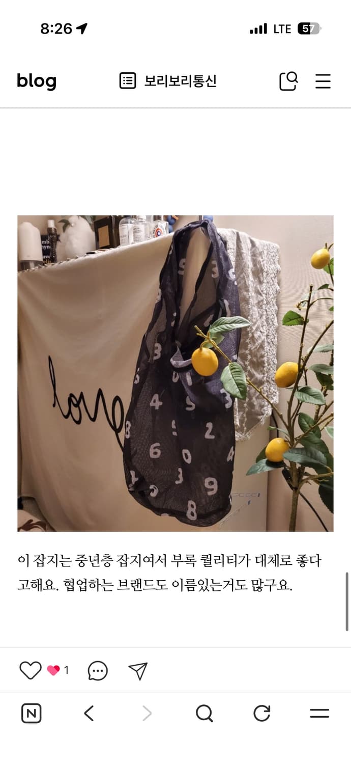 소우소우 매쉬 에코백 상품이미지3
