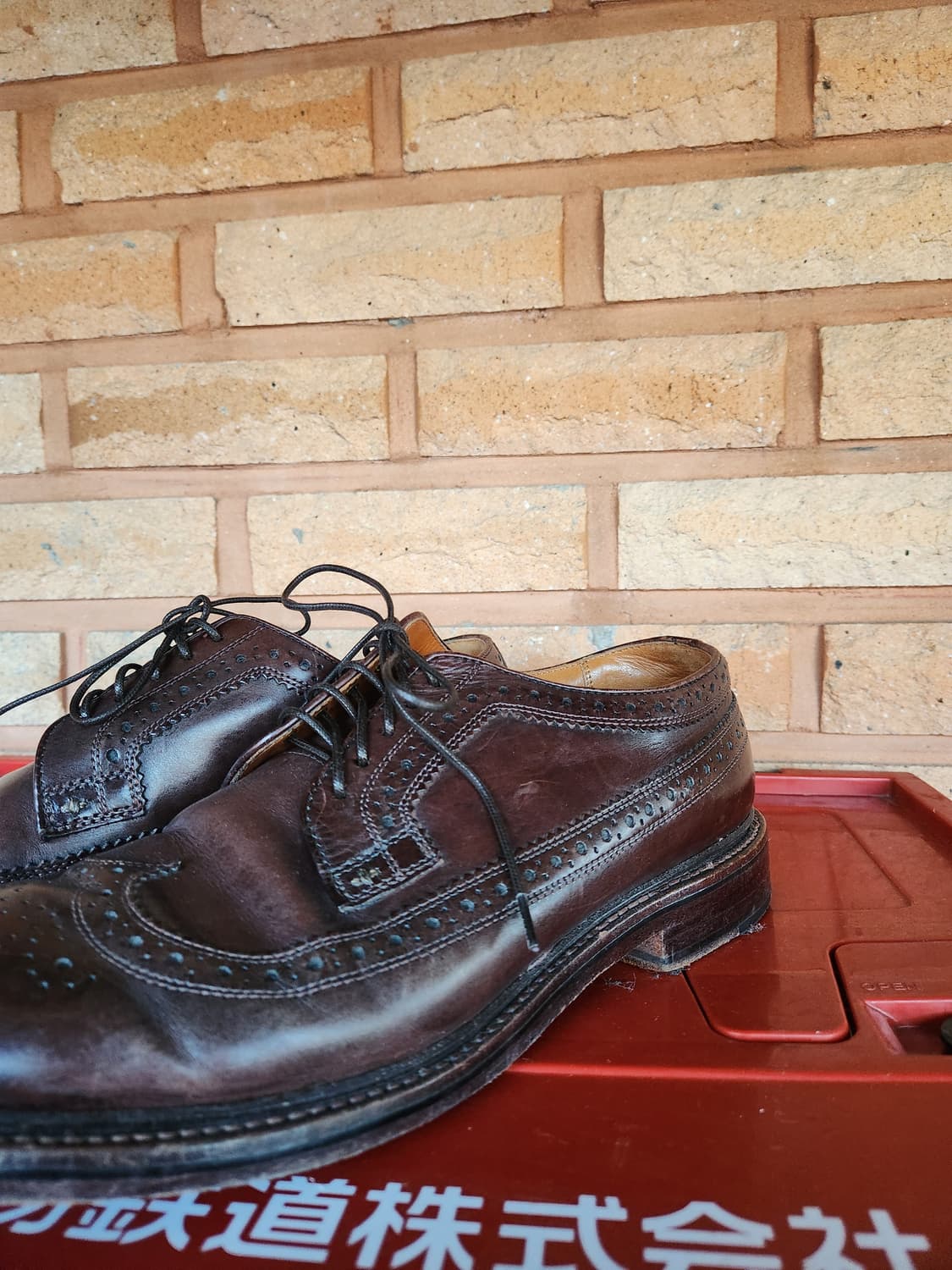 J.crew 롱윙 윙팁 6홀 드레스 슈즈 상품이미지2